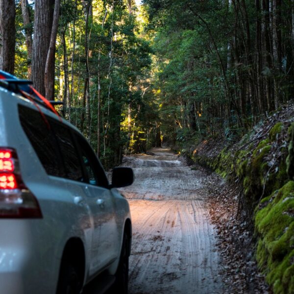 Poradnik dla miłośników off-roadu – jak przygotować samochód do jazdy terenowej?
